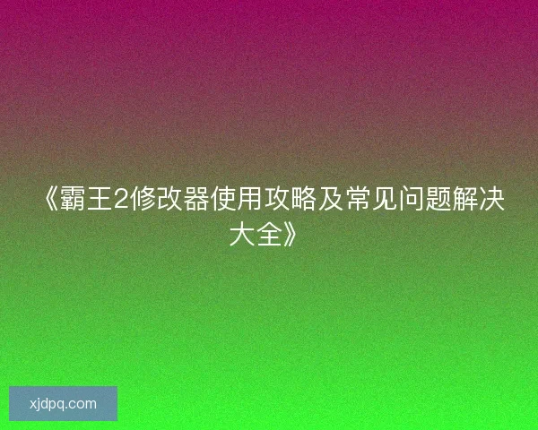 《霸王2修改器使用攻略及常见问题解决大全》