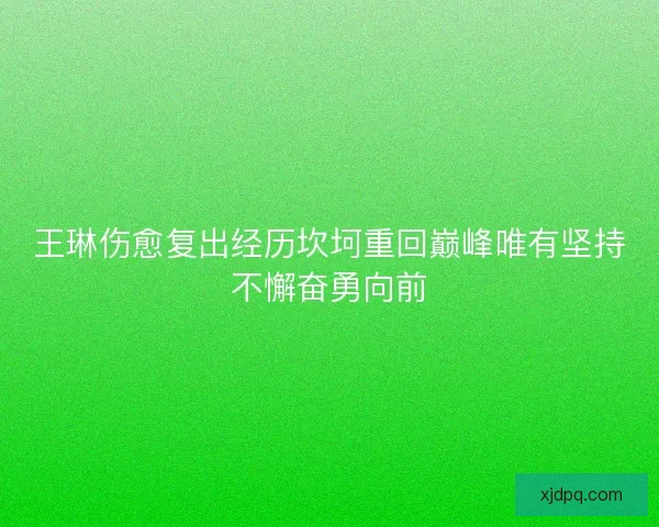 王琳伤愈复出经历坎坷重回巅峰唯有坚持不懈奋勇向前